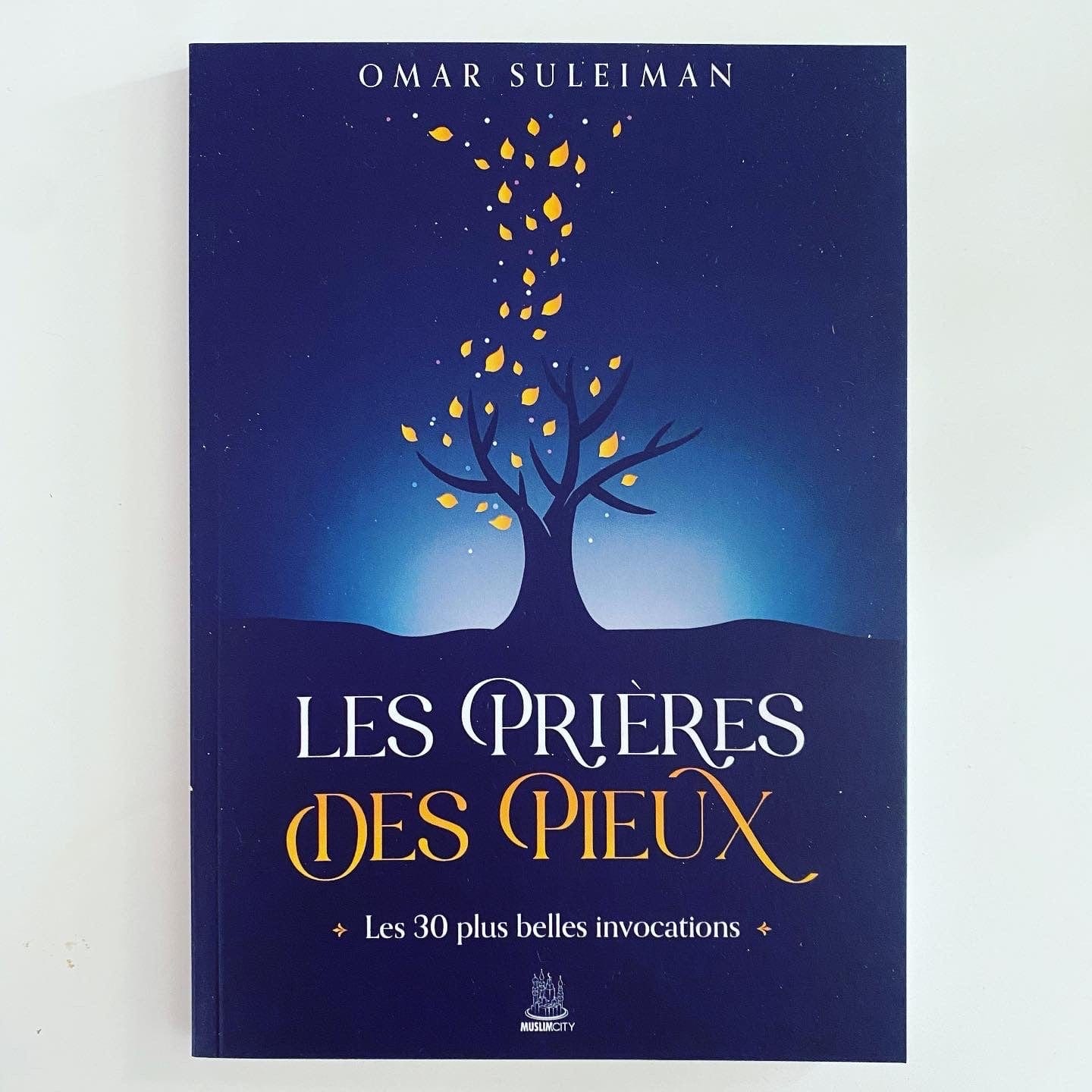 Les prières des pieux - Omar Suleiman - MuslimCity MuslimCity Livre > Islam > Essai 9782491948276 Librairie Musulmane Al-imen