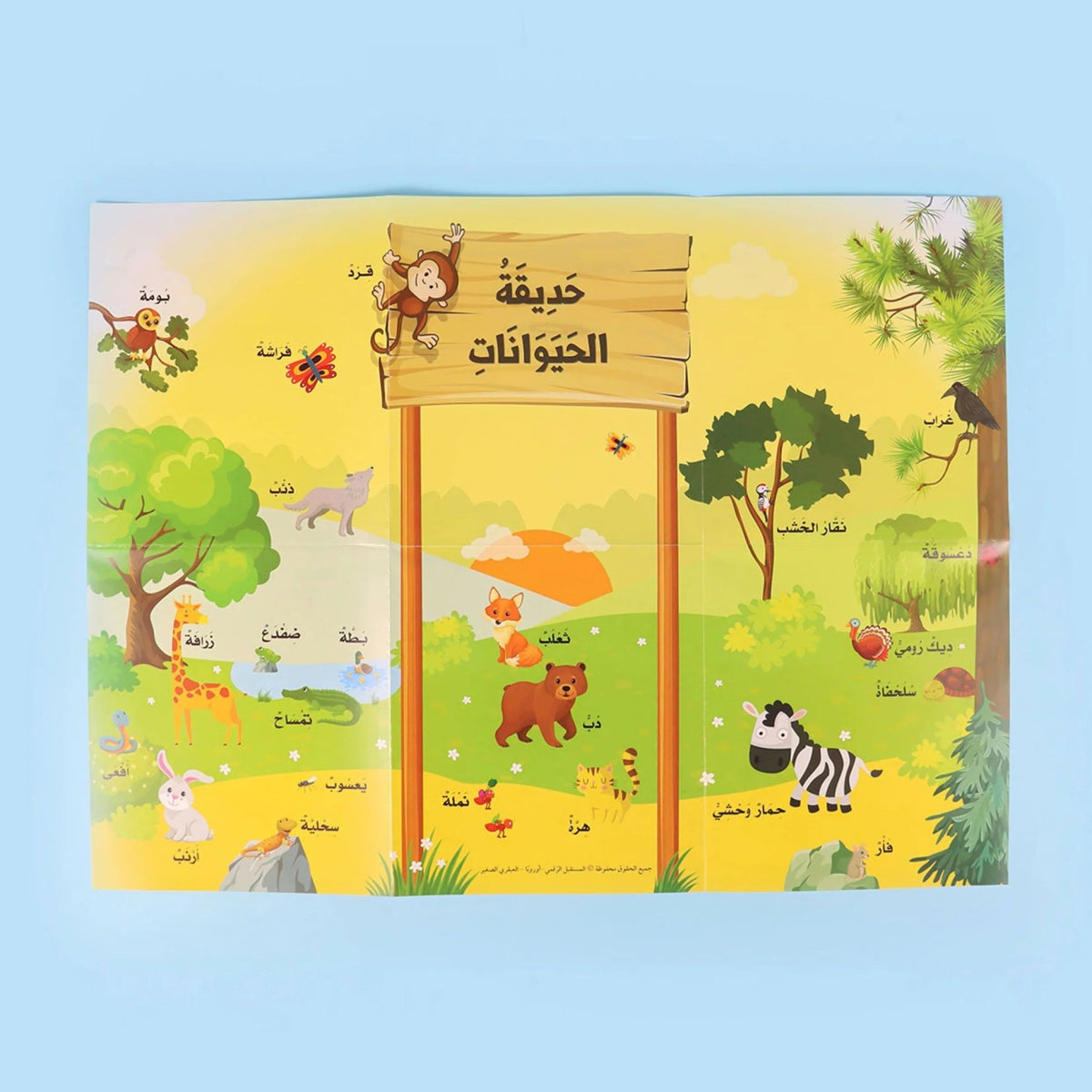 العبقري الصغير - Little Brainy Arabic Al - imen