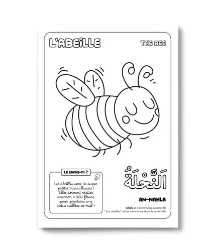 Colorie et apprends : Les 30 animaux cités dans le Coran - DeeniLearn DeeniLearn Livre Islam Enfant 9782931241226 Librairie Musulmane Al-imen