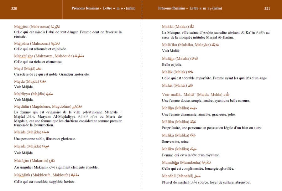 Dictionnaire des Prénoms Arabes et Musulmans — Plus de 4000 Prénoms | Orientica | Livre Islam Orientica Livre Islam Mariage 9782356351401 Librairie Musulmane Al-imen