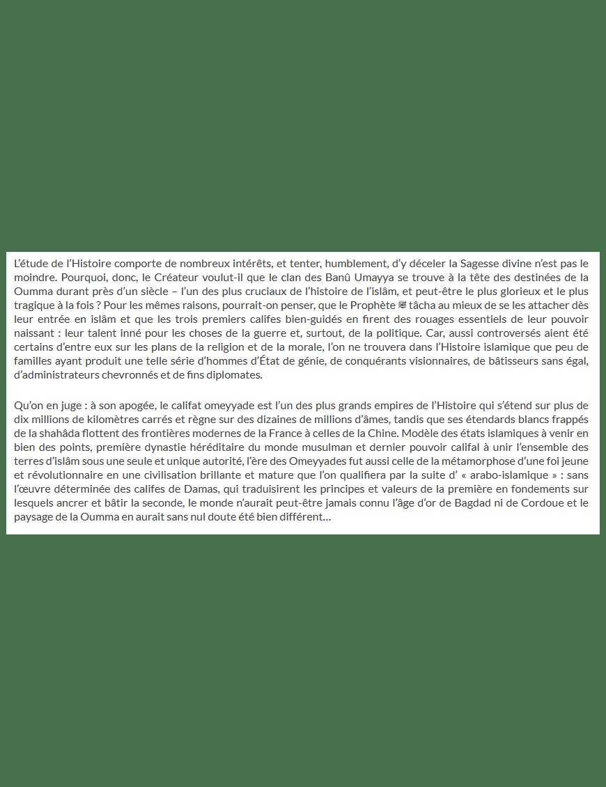 Histoire des Califes Omeyyades - Jalâl Ad-Dîn As-Suyûtî - Editions Ribât - Éditions Ribât Ribât Livre > Islam > Histoire du monde arabo-musulman 9782956444077 Librairie Musulmane Al-imen