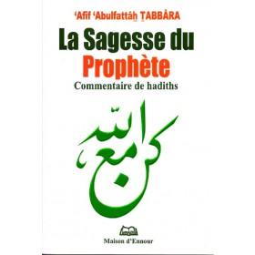 La sagesse du prophète - Commentaire de hadiths disponible chez Al - imen