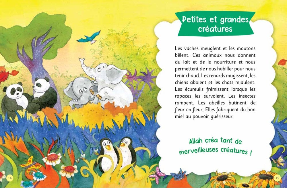 Les 100 plus belles Histoires du Coran — Orientica | Livre Islam Illustré Enfants Orientica Livre Islam Enfant 9789386589736 Librairie Musulmane Al-imen