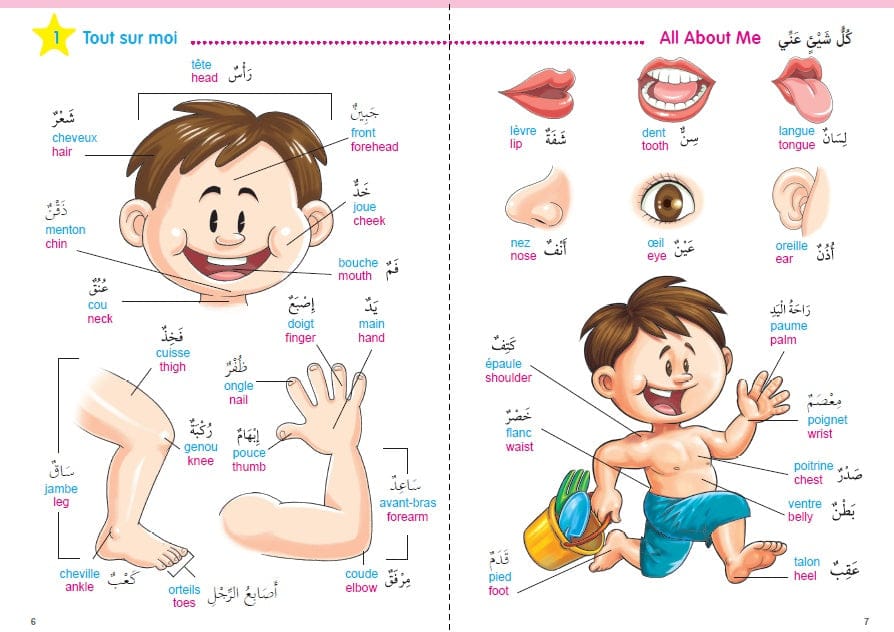 Mon Grand Imagier Trilingue Arabe Français Anglais — Dictionnaire Illustré Enfants | Orientica Orientica Livre Islam Enfant 9782356351265 Librairie Musulmane Al-imen