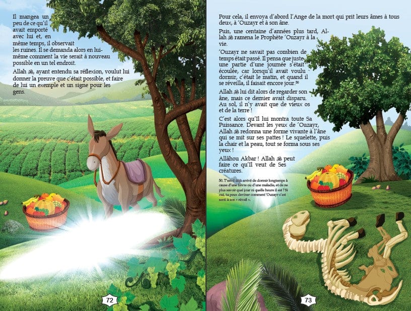 Mon Premier Livre d'Histoires des Prophètes — Orientica | Livre Islam Illustré Enfants Orientica Livre Islam Enfant 9782356351296 Librairie Musulmane Al-imen