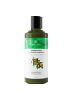 Shampooing à l’huile d’argan karamat cosmetics 400 ml Al - imen